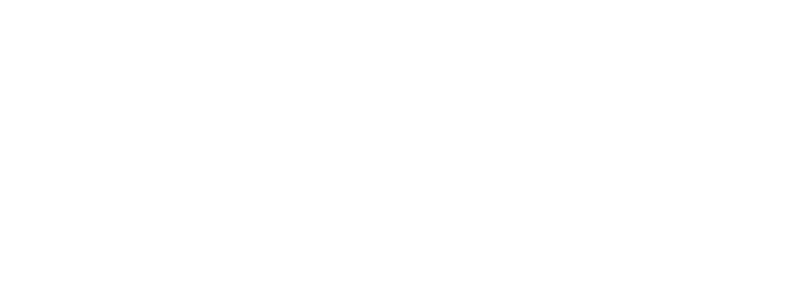 Born Nachf. GmbH & Co. KG